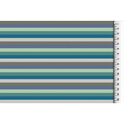 Jersey - Multicolor Ringel mint grau 6 mm